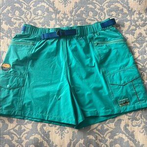 Patagonia Blue Cargo Shorts for Outdoor Adventures